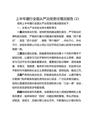 上半年履行全面从严治党责任情况报告 (2)