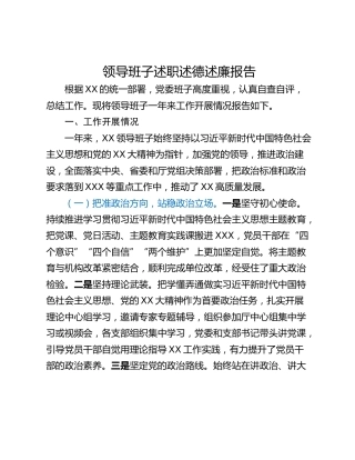 领导班子述职述德述廉报告