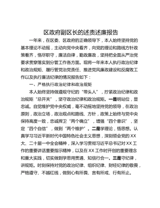 区政府副区长的述责述廉报告