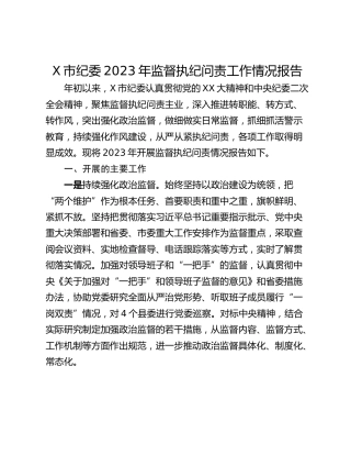 X市纪委2023年监督执纪问责工作情况报告