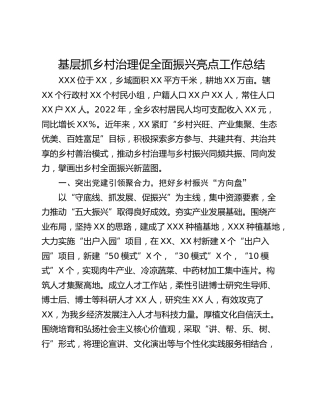 基层抓乡村治理促全面振兴亮点工作总结