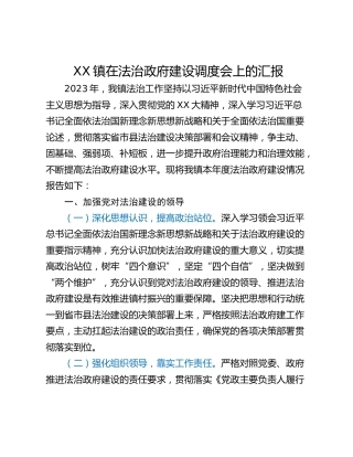 XX镇在法治政府建设调度会上的汇报