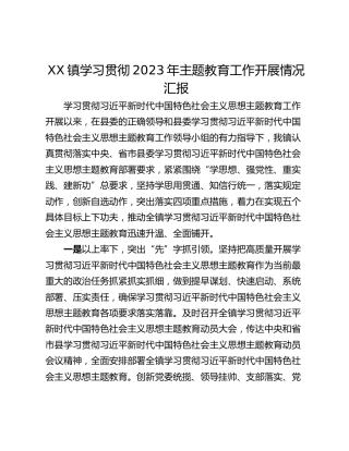 XX镇学习贯彻2023年主题教育工作开展情况汇报
