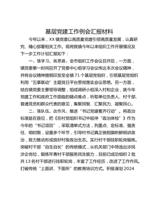 基层党建工作例会汇报材料