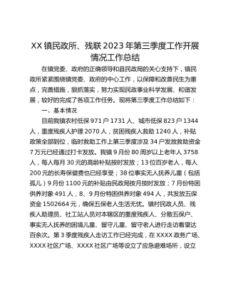 XX镇民政所、残联2023年第三季度工作开展情况工作总结