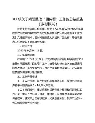 XX镇关于问题整改“回头看”工作的总结报告（乡村振兴）