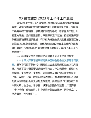 XX镇党建办2023年上半年工作总结