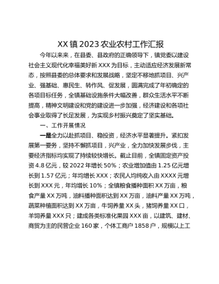 XX镇2023农业农村工作汇报