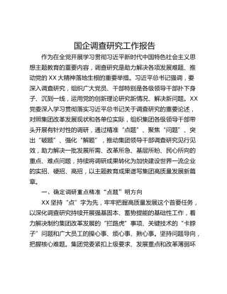 国企调查研究工作报告