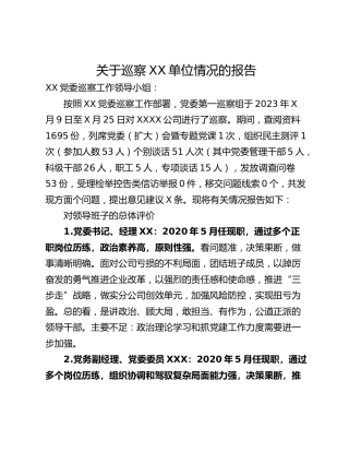 关于巡察XX单位情况的报告