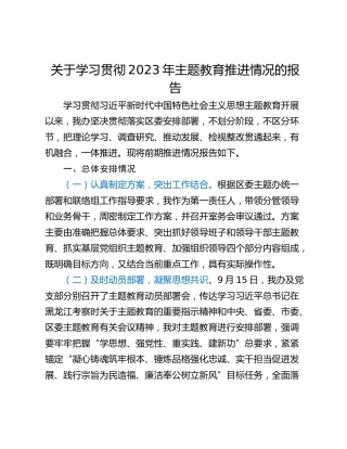 关于学习贯彻2023年主题教育推进情况的报告
