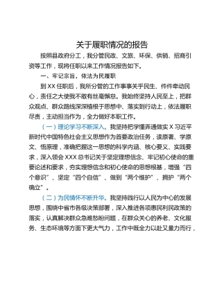 关于履职情况的报告