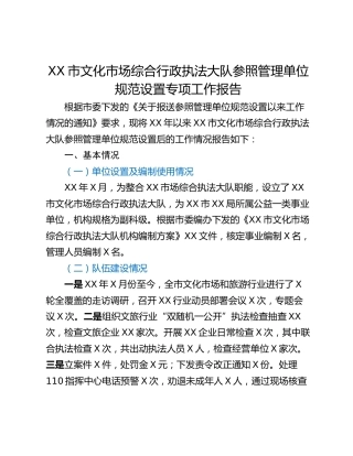 XX市文化市场综合行政执法大队参照管理单位规范设置专项工作报告