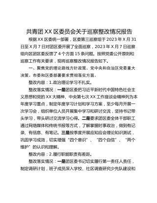 共青团XX区委员会关于巡察整改情况报告