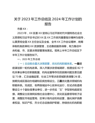 关于2023年工作总结及2024年工作计划的报告