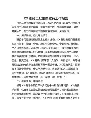 XX市第二批主题教育工作报告