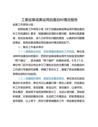工委巡察成果运用自查自纠情况报告