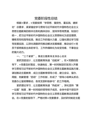 党委阶段性总结