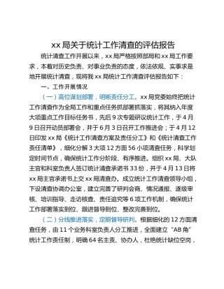 xx局关于统计工作清查的评估报告