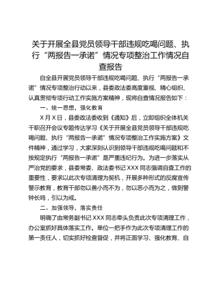 关于开展全县党员领导干部违规吃喝问题、执行“两报告一承诺”情况专项整治工作情况自查报告