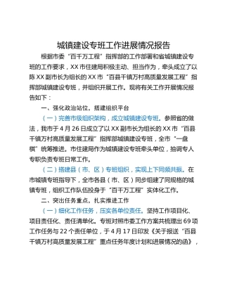 城镇建设专班工作进展情况报告