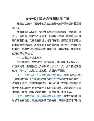 党支部主题教育开展情况汇报