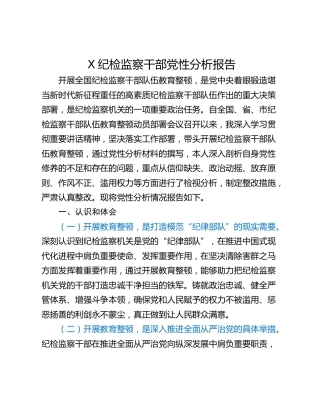 X纪检监察干部党性分析报告