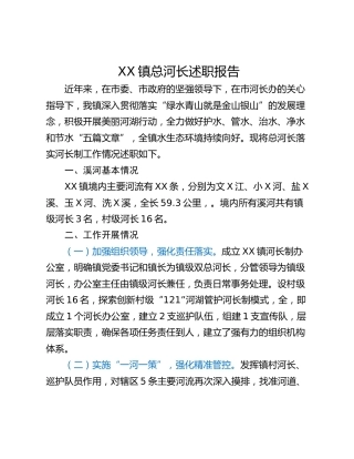 XX镇总河长述职报告
