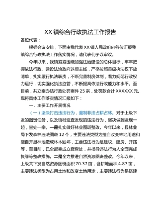 XX镇综合行政执法工作报告