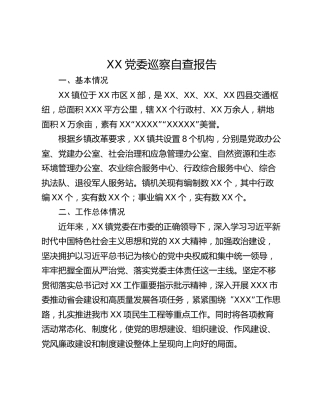 XX党委巡察自查报告