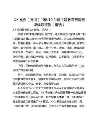 XX党委（党组）书记10月份主题教育专题党课辅导报告（精选）