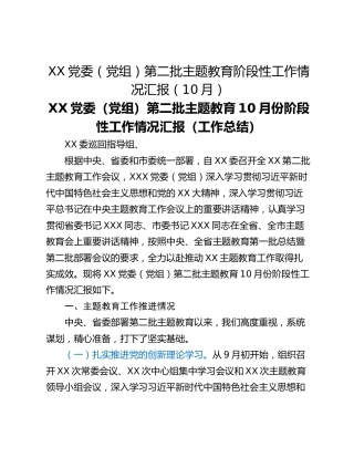 XX党委（党组）第二批主题教育阶段性工作情况汇报（10月）