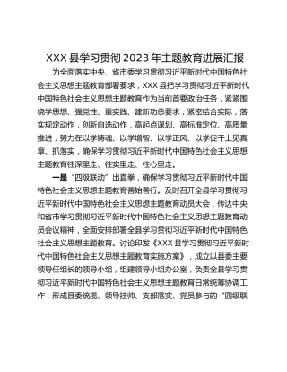 XXX县学习贯彻2023年主题教育进展汇报