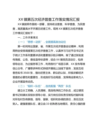XX镇第五次经济普查工作落实情况汇报