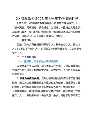 XX镇党政办2023年上半年工作情况汇报