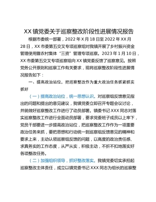 XX镇党委关于巡察整改阶段性进展情况报告