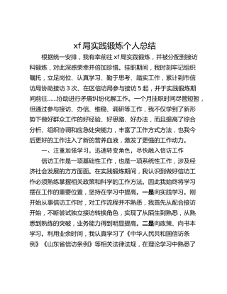xf局实践锻炼个人总结