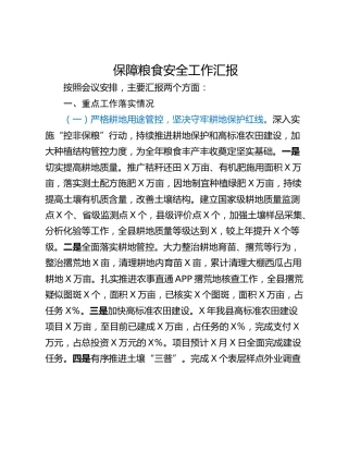 保障粮食安全工作汇报