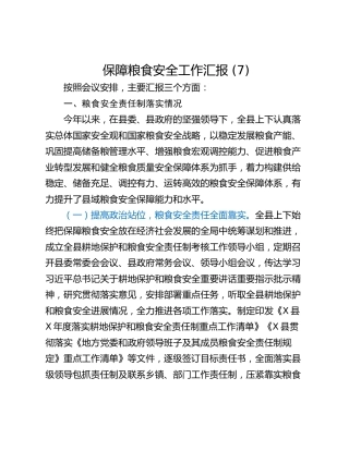 保障粮食安全工作汇报 (7)