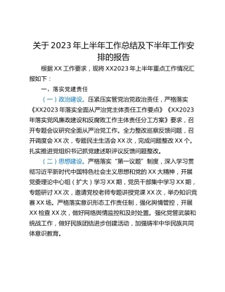 关于2023年上半年工作总结及下半年工作安排的报告
