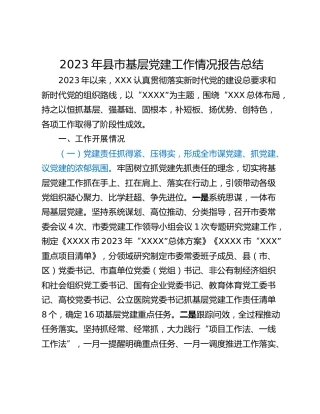 2023年县市基层党建工作情况报告总结