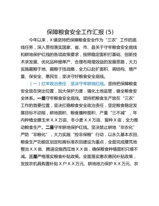 保障粮食安全工作汇报 (5)