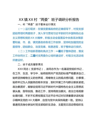 XX镇XX村“两委”班子调研分析报告
