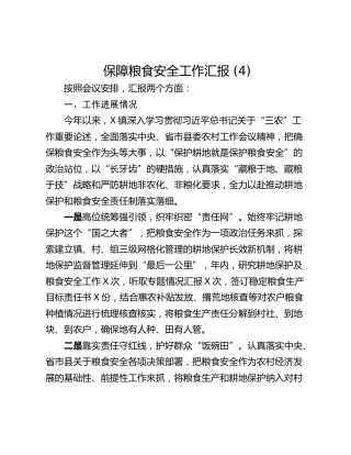 保障粮食安全工作汇报 (4)