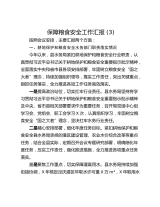 保障粮食安全工作汇报 (3)