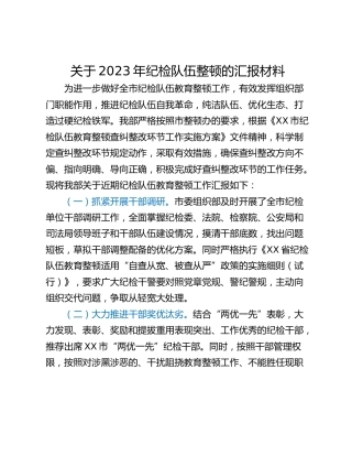 关于2023年纪检队伍整顿的汇报材料
