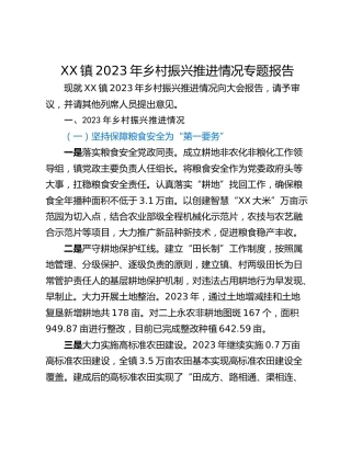 XX镇2023年乡村振兴推进情况专题报告