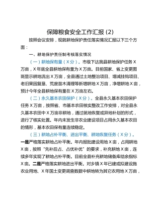 保障粮食安全工作汇报 (2)