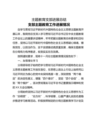 主题教育支部进展总结