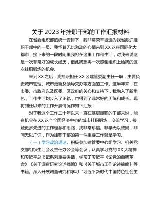 关于2023年挂职干部的工作汇报材料